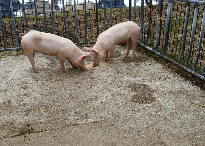 Blaserhof Apartman *